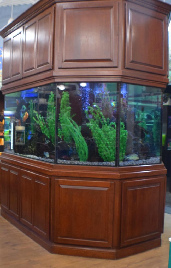 Fish Bowls, Aquarium Kits & Fish Tank Stands